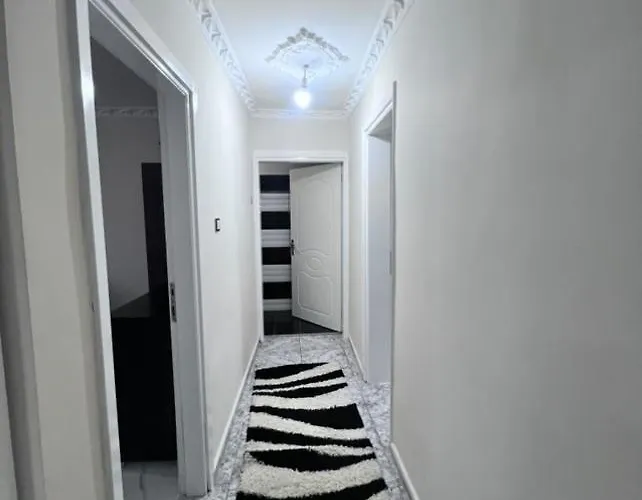 Narcis House
